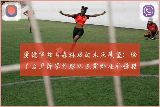 爱德华兹与森林狼的未来展望：除了后卫阵容外球队还需哪些补强措施