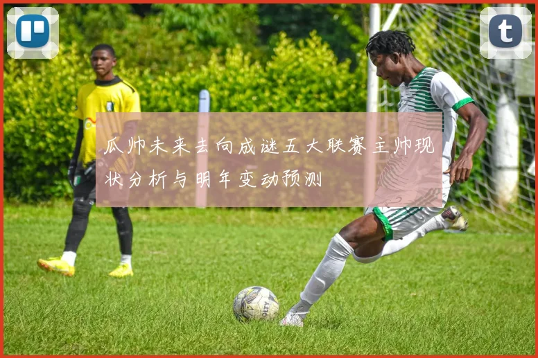 瓜帅未来去向成谜五大联赛主帅现状分析与明年变动预测