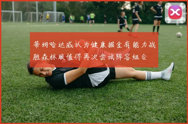 蒂姆哈达威认为健康掘金有能力战胜森林狼值得再次尝试阵容组合